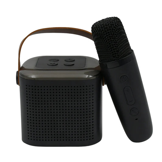 Portable Karaoke Machine - CookiePicks