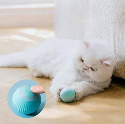 Smart Teasing Pet Ball